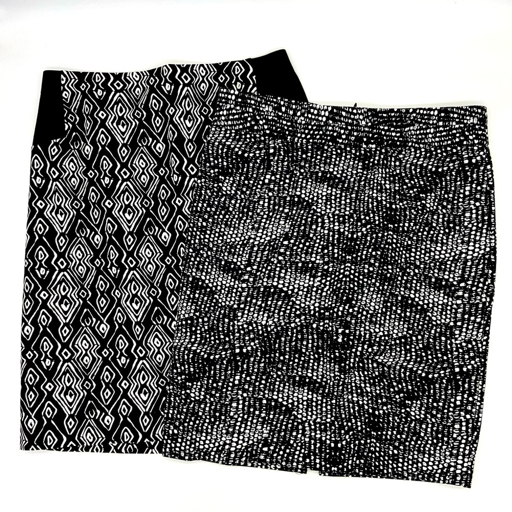 Skirt Bundle Chicos and Grace Elements, Small